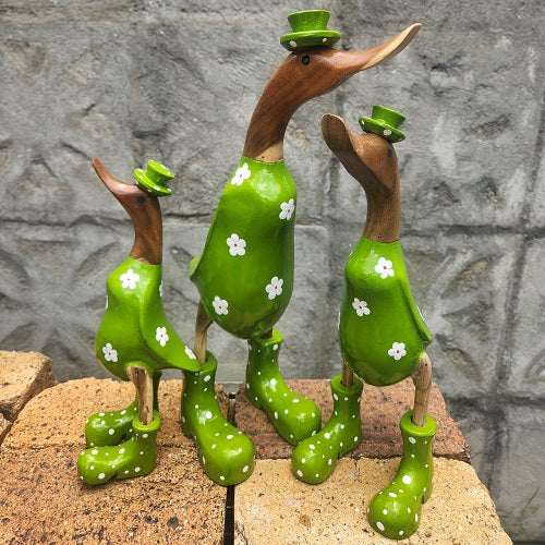 Ducks Sets of 3