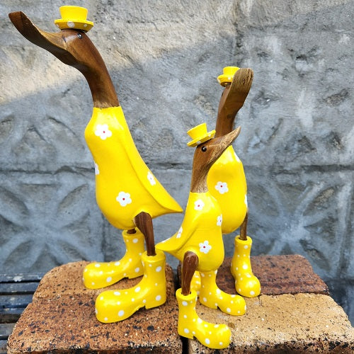 Ducks Sets of 3