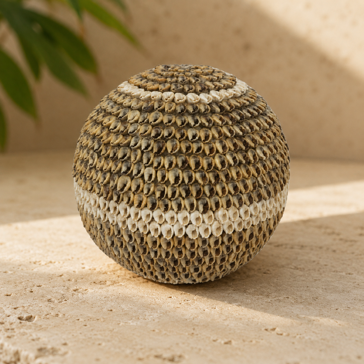 Cowrie Shell Decorative Sphere — Natural Banded